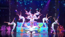 Indias Got Talent - Season 11 - 28th December 2025